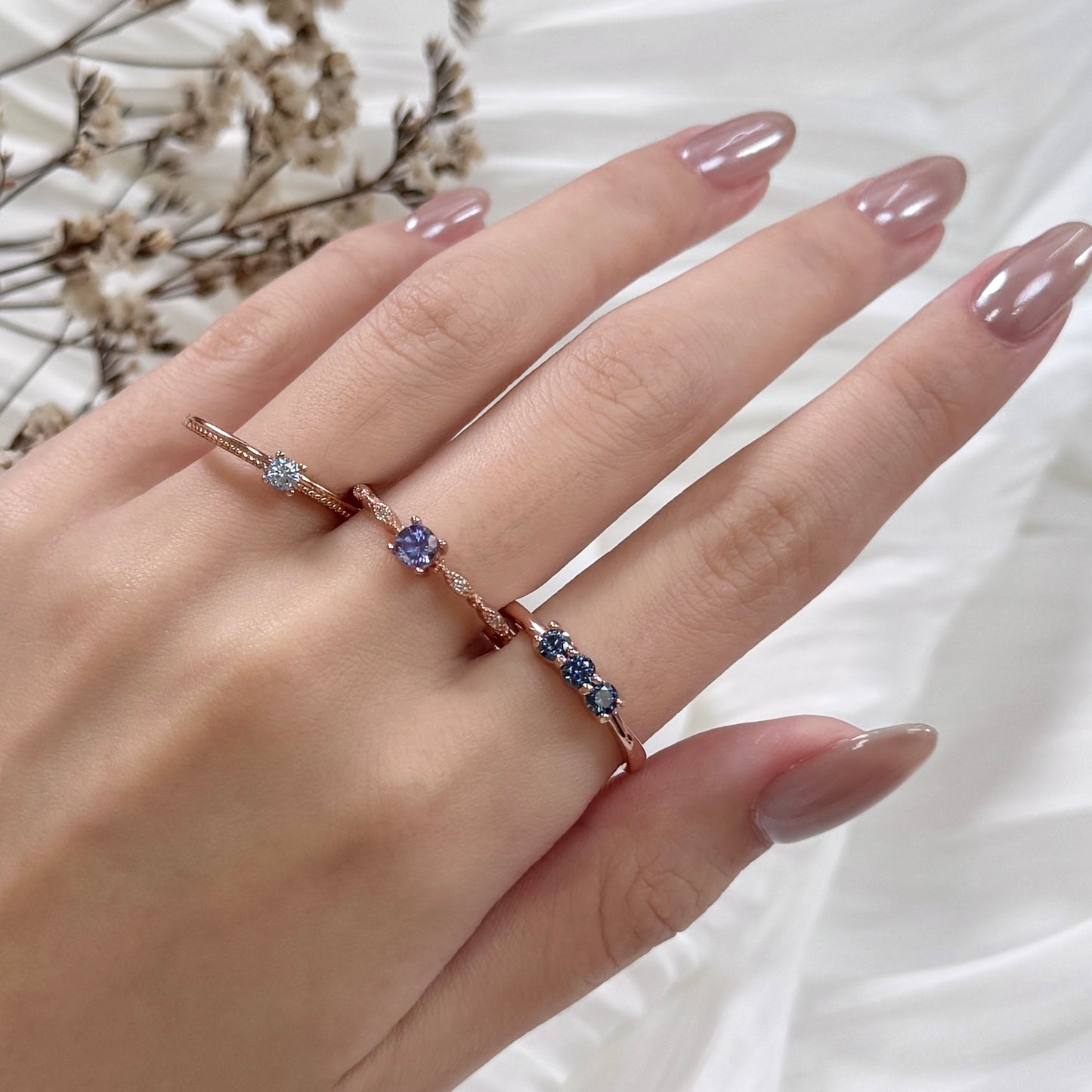 Dainty Aster Trio